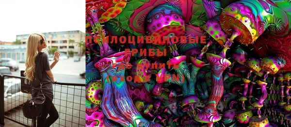 молекула духа Осинники