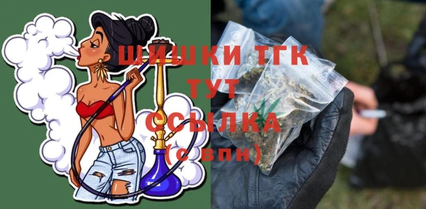 молекула духа Осинники