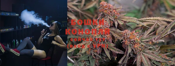 молекула духа Осинники